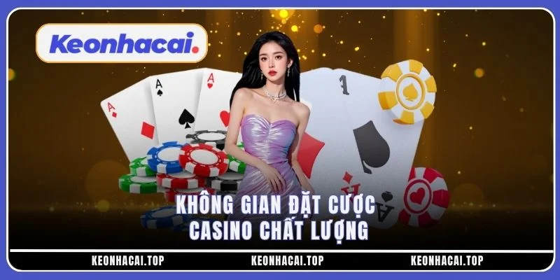Không gian đặt cược casino chất lượng